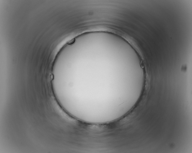 X0000113870805200910151259