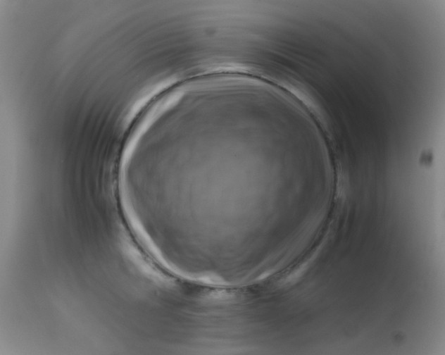 X0000113870806200910151259