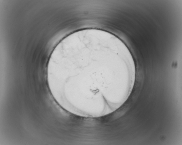 X0000113870807200910151259