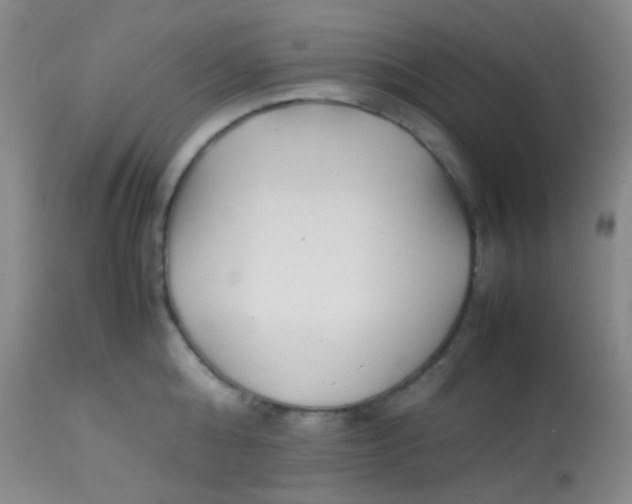 X0000113870808200910151259