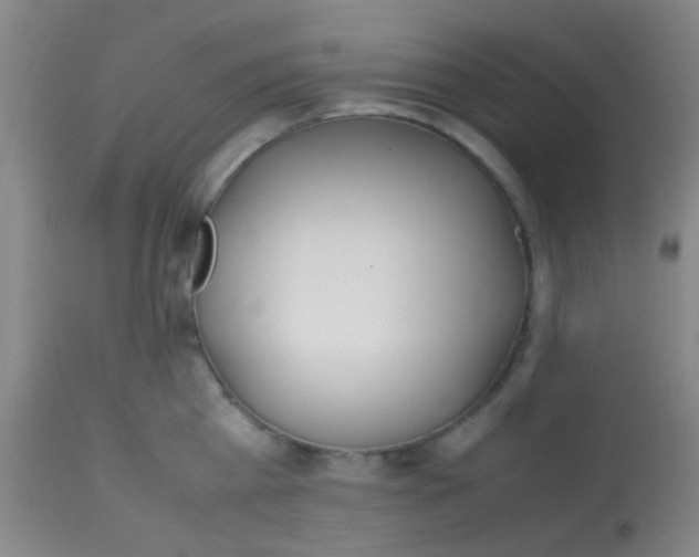 X0000113870809200910151259