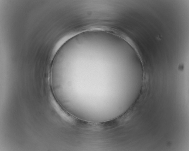 X0000113870811200910151259