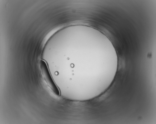 X0000113870812200910151259