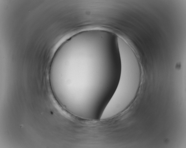 X0000113870813200910151259