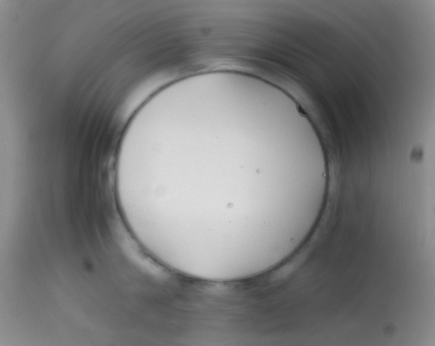 X0000113870814200910151259