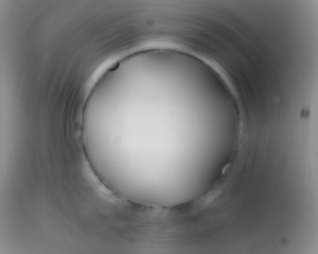 X0000113870815200910151259