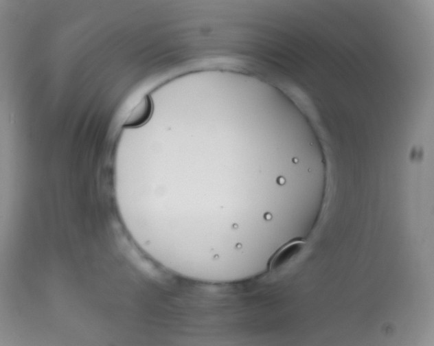 X0000113870816200910151259