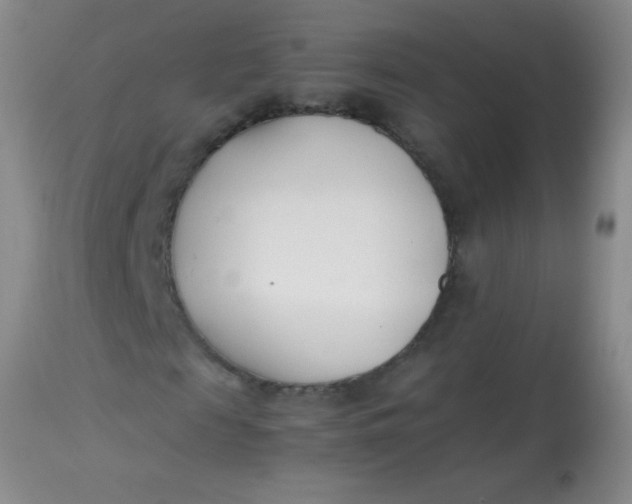 X0000113870817200910151258