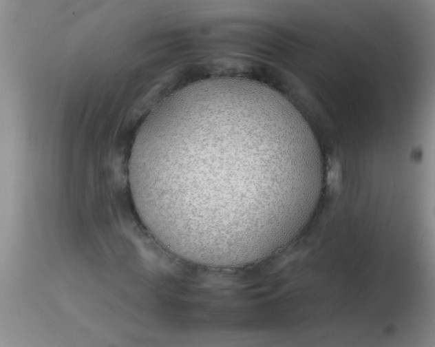 X0000113870819200910151258