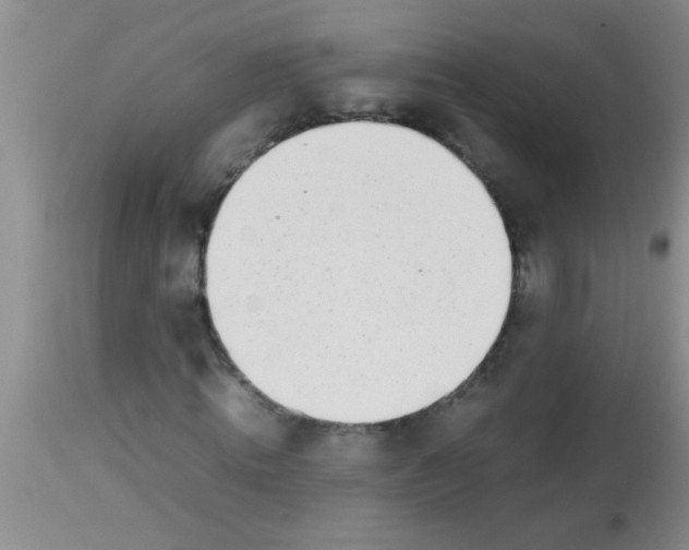 X0000113870820200910151258