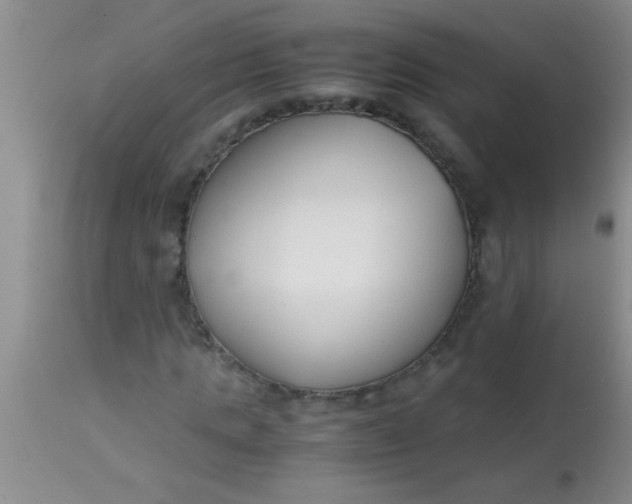 X0000113870821200910151258