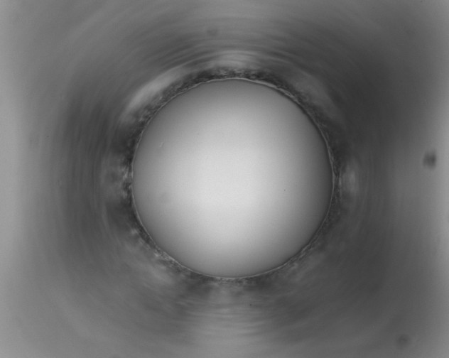 X0000113870822200910151258