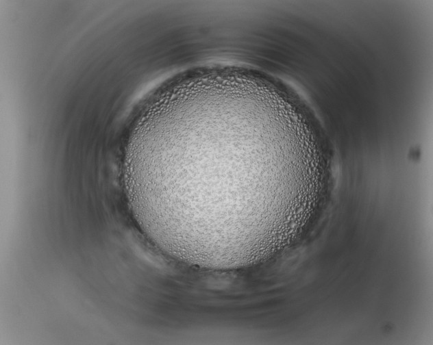 X0000113870823200910151258