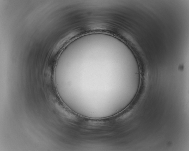 X0000113870825200910151258