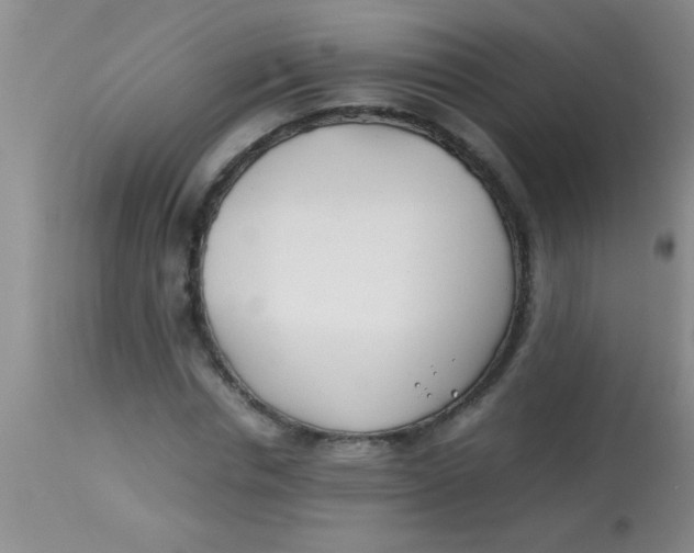 X0000113870826200910151258