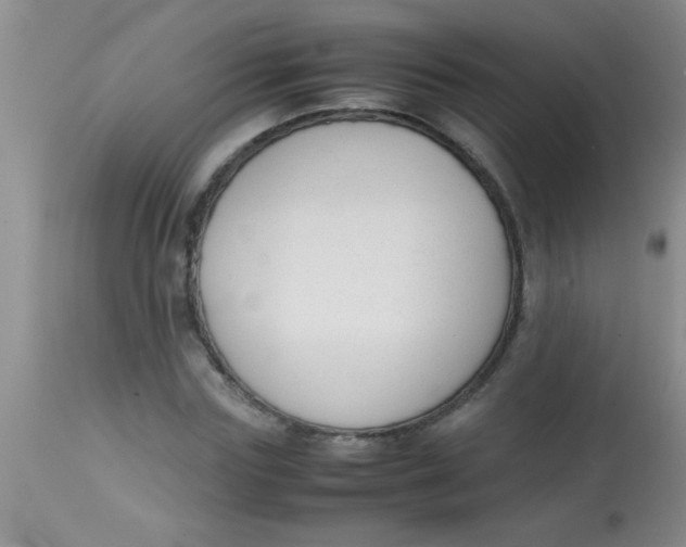 X0000113870827200910151258