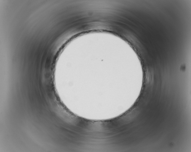 X0000113870828200910151258