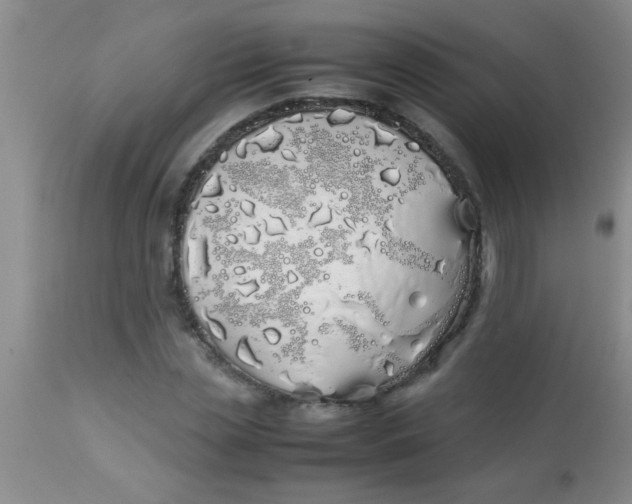 X0000113870829200910151258