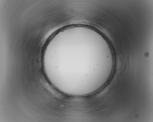 X0000113870830200910151258