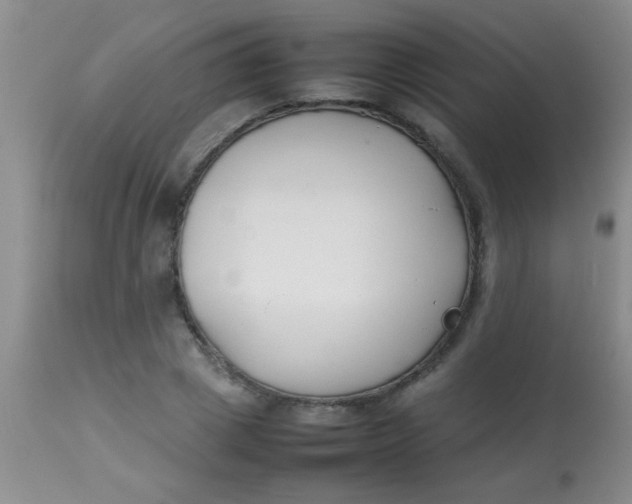 X0000113870833200910151258