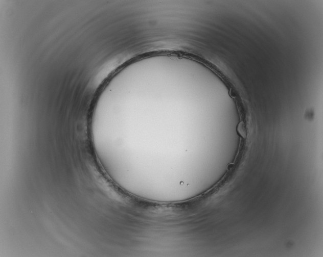 X0000113870834200910151258