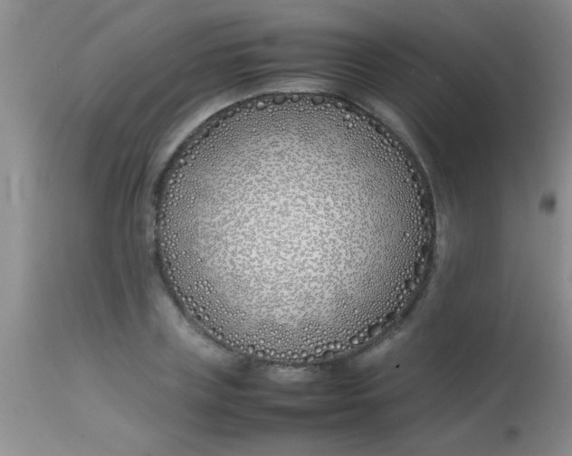 X0000113870835200910151258