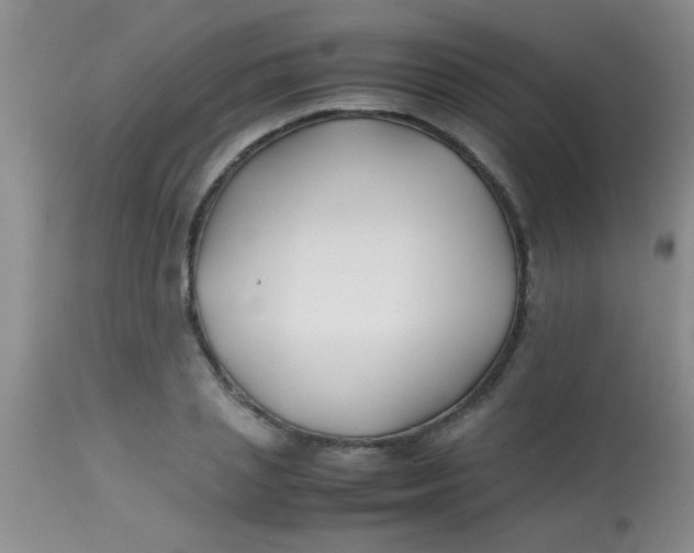 X0000113870837200910151258