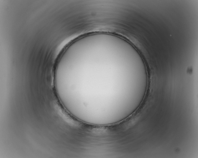 X0000113870838200910151258