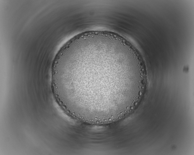 X0000113870839200910151258