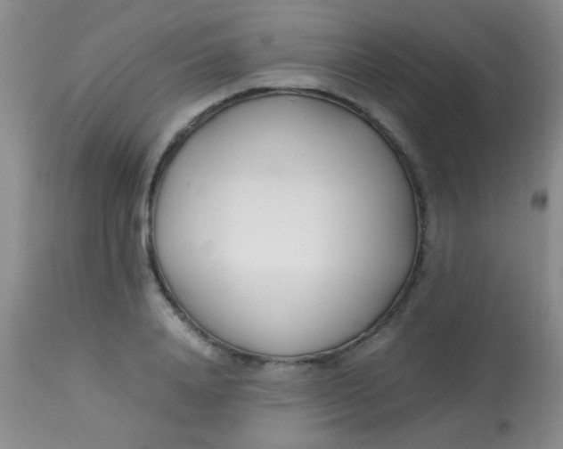 X0000113870840200910151258