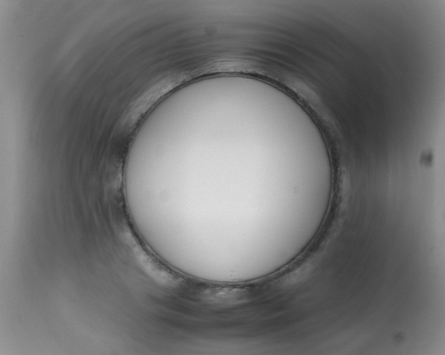 X0000113870841200910151258