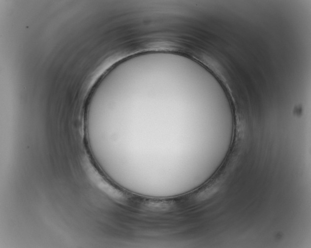 X0000113870843200910151259