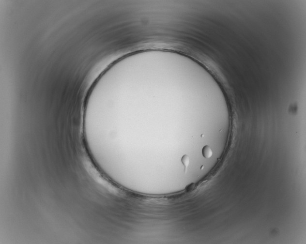 X0000113870844200910151259