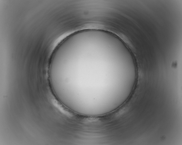 X0000113870846200910151259