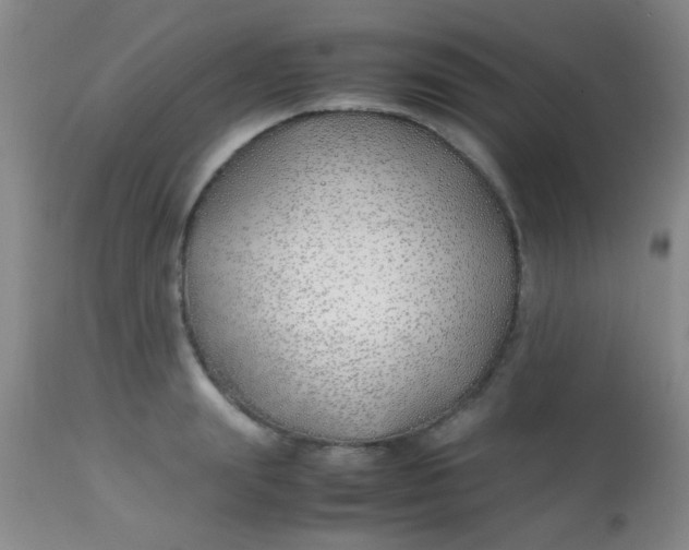 X0000113870847200910151259