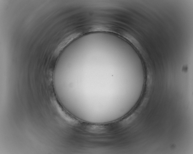 X0000113870849200910151259