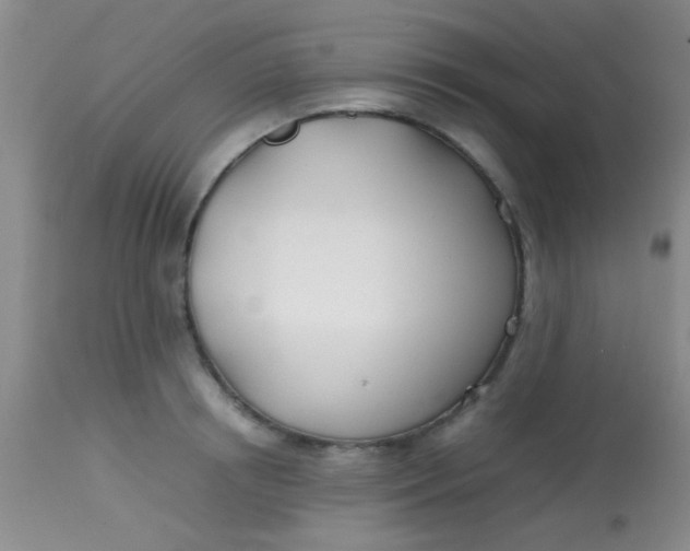 X0000113870850200910151259