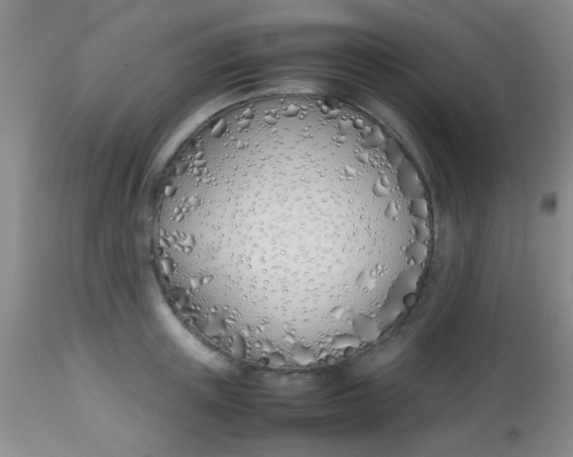 X0000113870851200910151259