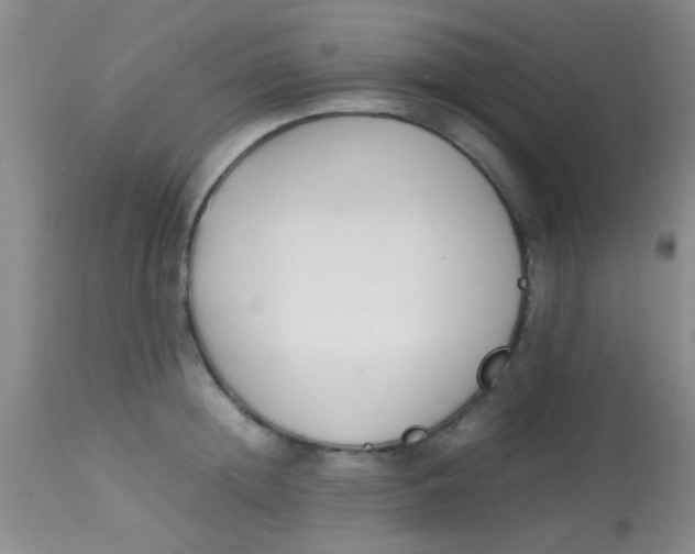 X0000113870852200910151259