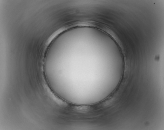 X0000113870853200910151259