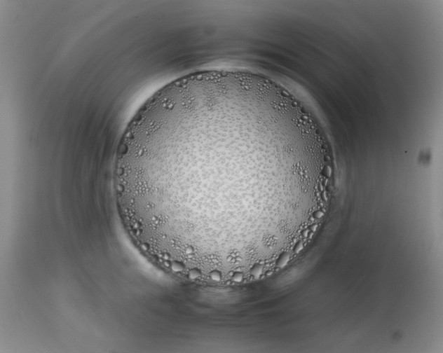 X0000113870855200910151259