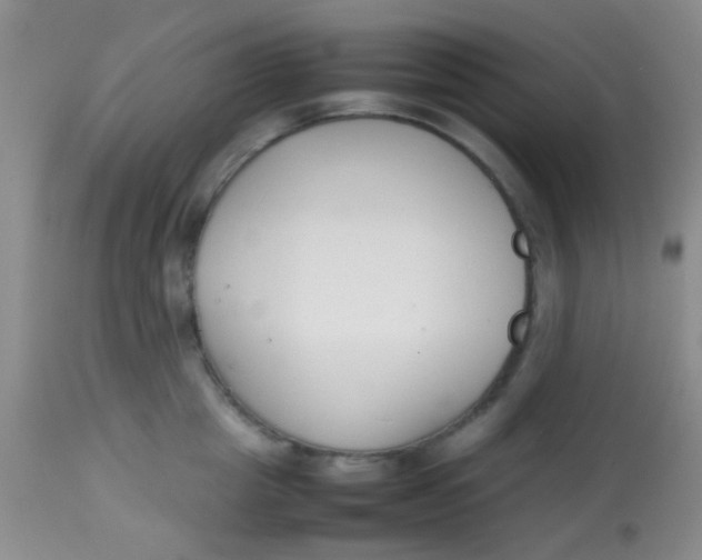 X0000113870857200910151259