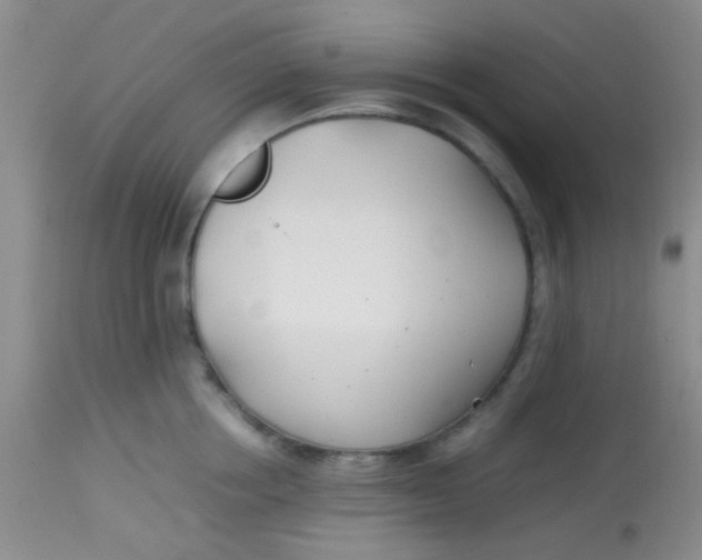 X0000113870858200910151259