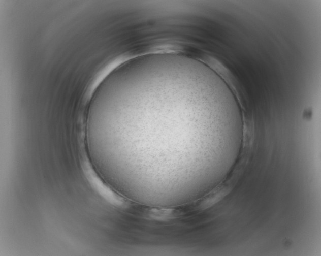 X0000113870859200910151259