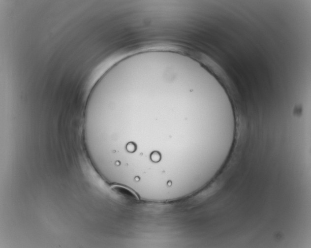 X0000113870860200910151259