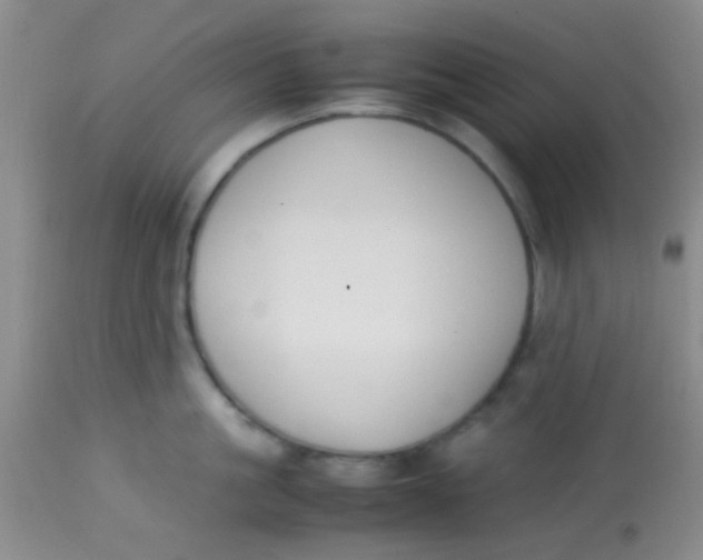 X0000113870861200910151259