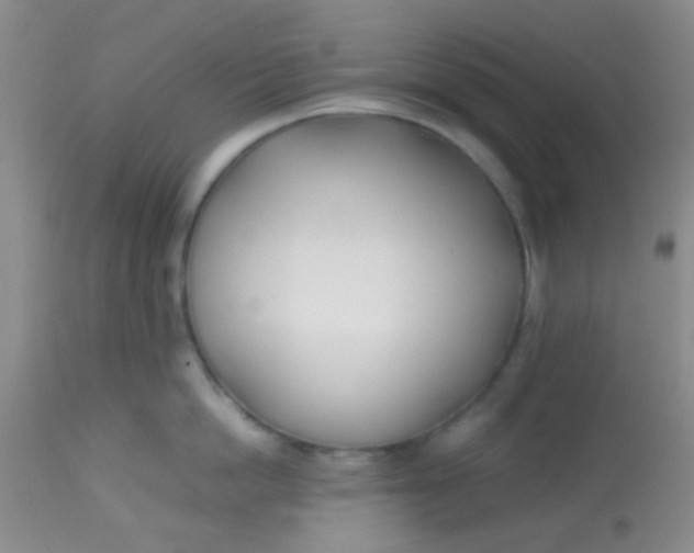 X0000113870862200910151259