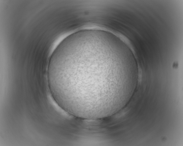 X0000113870863200910151259