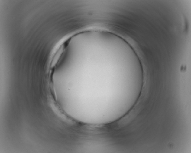 X0000113870864200910151259