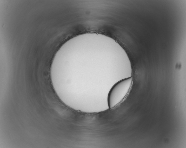 X0000113870865200910151258